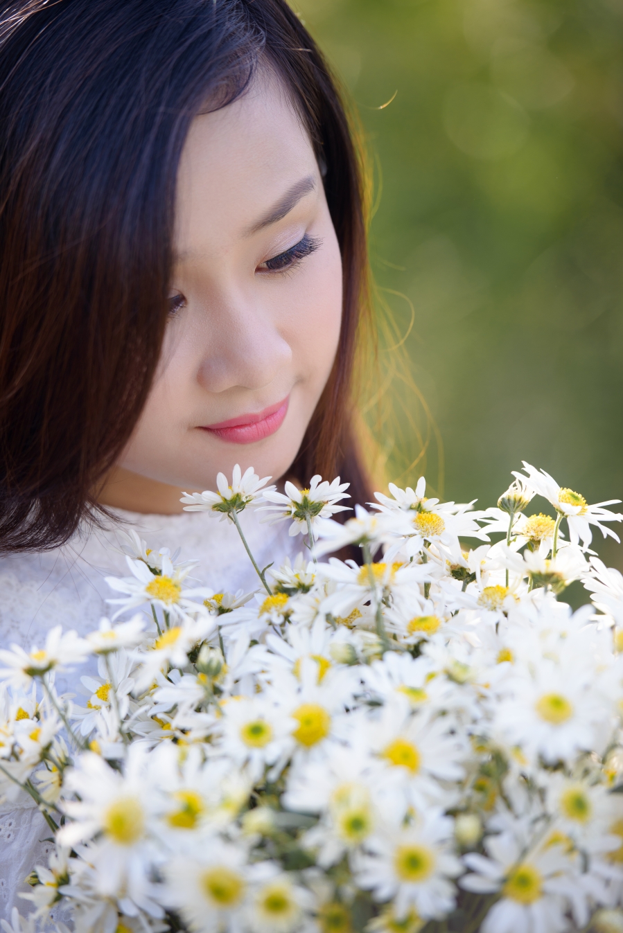 Em xinh dịu dàng cùng với hoa cúc Họa Mi